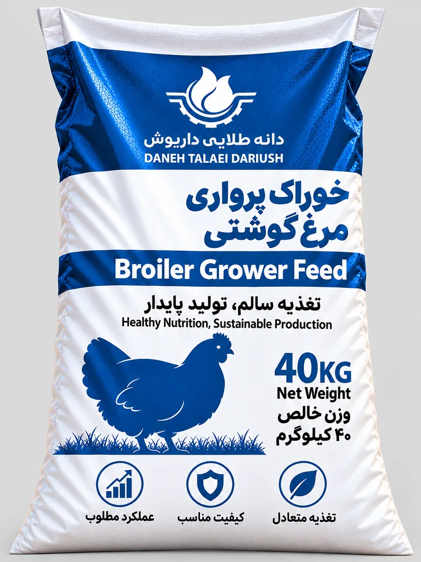تصویر مفهومی خوراک مرغ گوشتی رشد